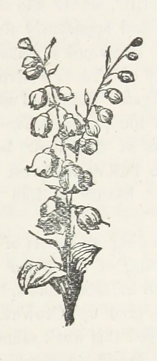 An illustration from Odd, or Even? [A novel, 1880, leaf 107