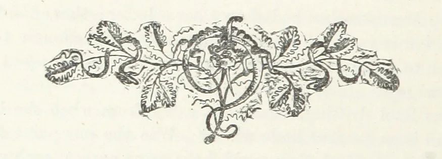 An illustration from Odd, or Even? [A novel, 1880, leaf 214