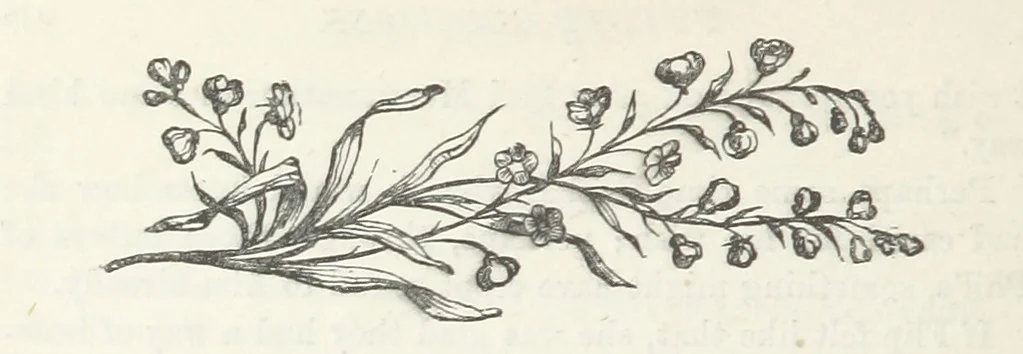 An illustration from Odd, or Even? [A novel, 1880, leaf 224