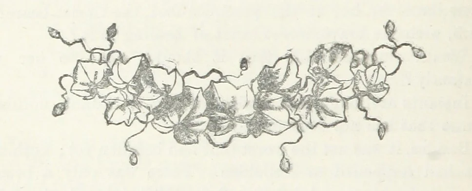 An illustration from Odd, or Even? [A novel, 1880, leaf 256