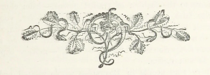 An illustration from Odd, or Even? [A novel, 1880, leaf 305