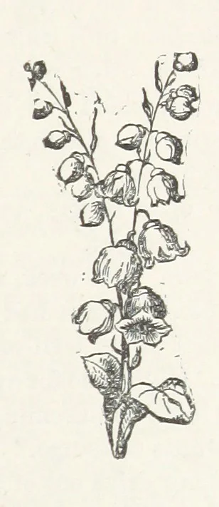 An illustration from Odd, or Even? [A novel, 1880, leaf 319