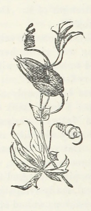 An illustration from Odd, or Even? [A novel, 1880, leaf 346