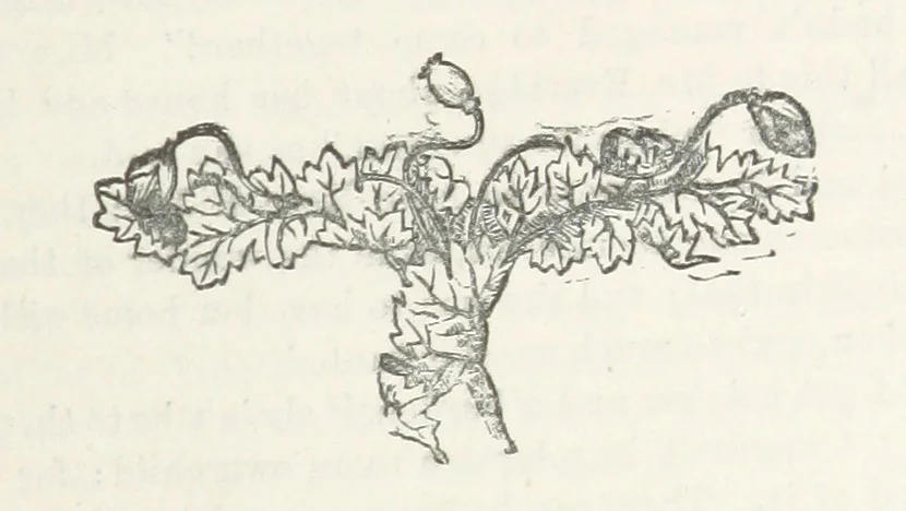 An illustration from Odd, or Even? [A novel, 1880, leaf 353