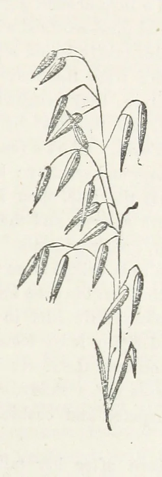 An illustration from Odd, or Even? [A novel, 1880, leaf 87