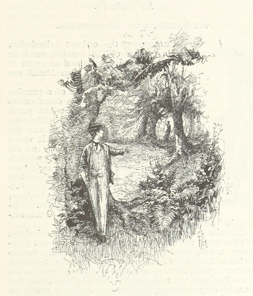An illustration from The Veiled Hand, a novel of the sixties, the seventies, and the eighties, etc, 1892, leaf 23