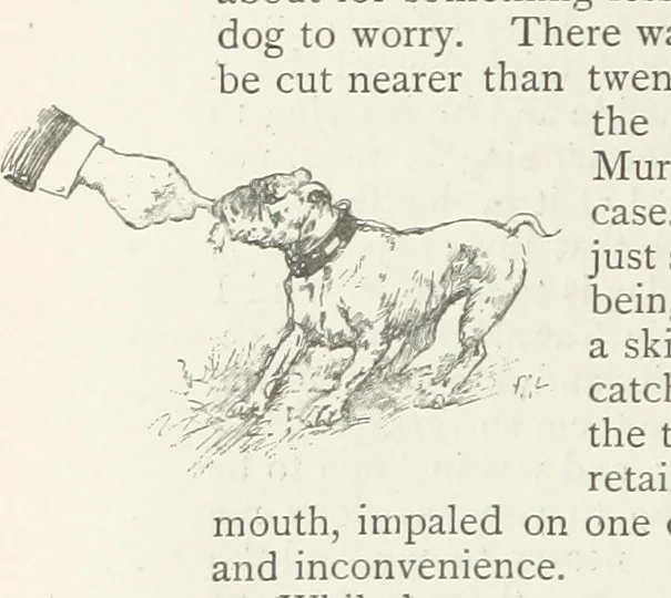 An illustration from The Veiled Hand, a novel of the sixties, the seventies, and the eighties, etc, 1892, leaf 84