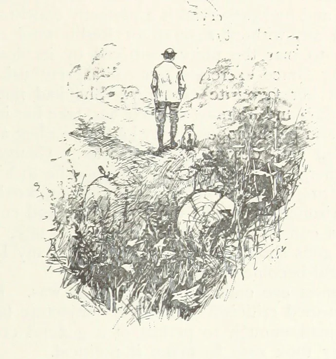 An illustration from The Veiled Hand, a novel of the sixties, the seventies, and the eighties, etc, 1892, leaf 85