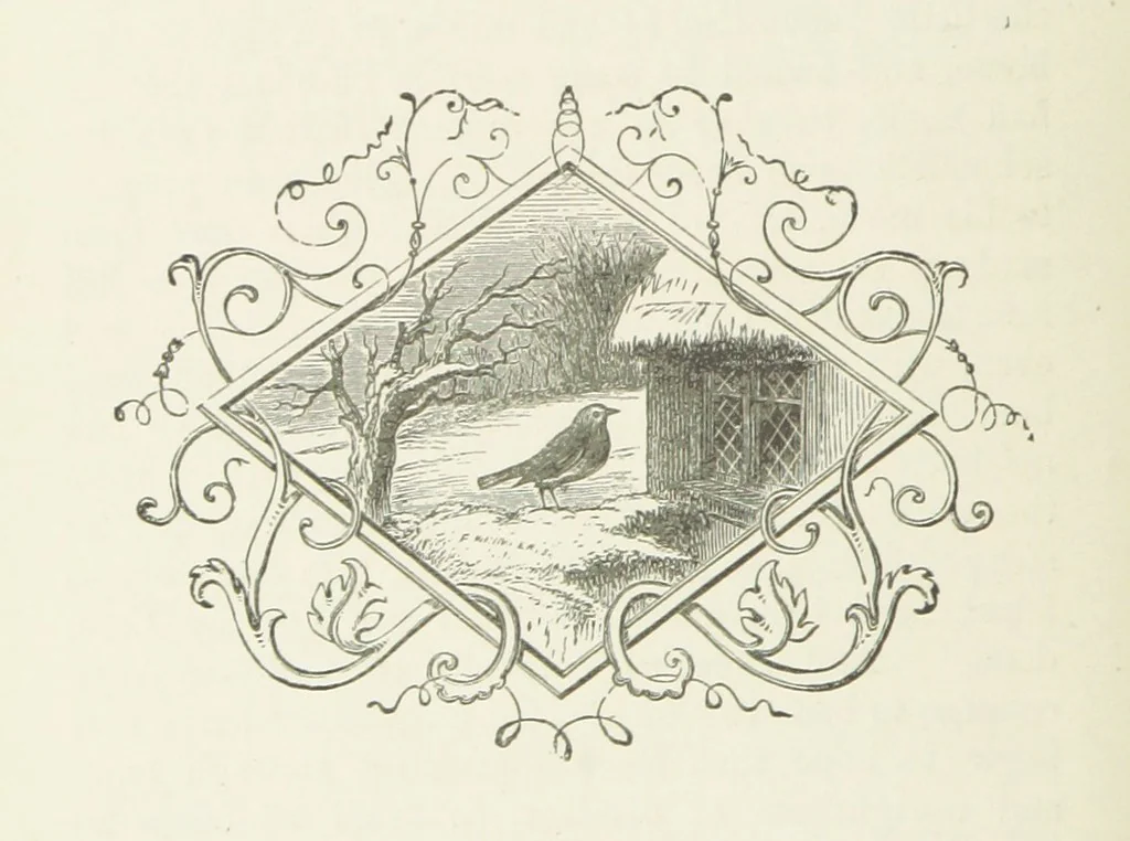 An illustration from Phil Thorndyke's Adventures: and other stories. By F. M. Wilbraham, E. M. Piper, Lady C. Thynne, and others, etc, 1894, leaf 112