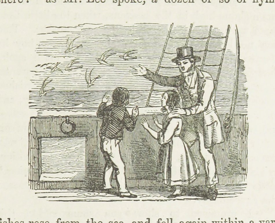 An illustration from Phil Thorndyke's Adventures: and other stories. By F. M. Wilbraham, E. M. Piper, Lady C. Thynne, and others, etc, 1894, leaf 167
