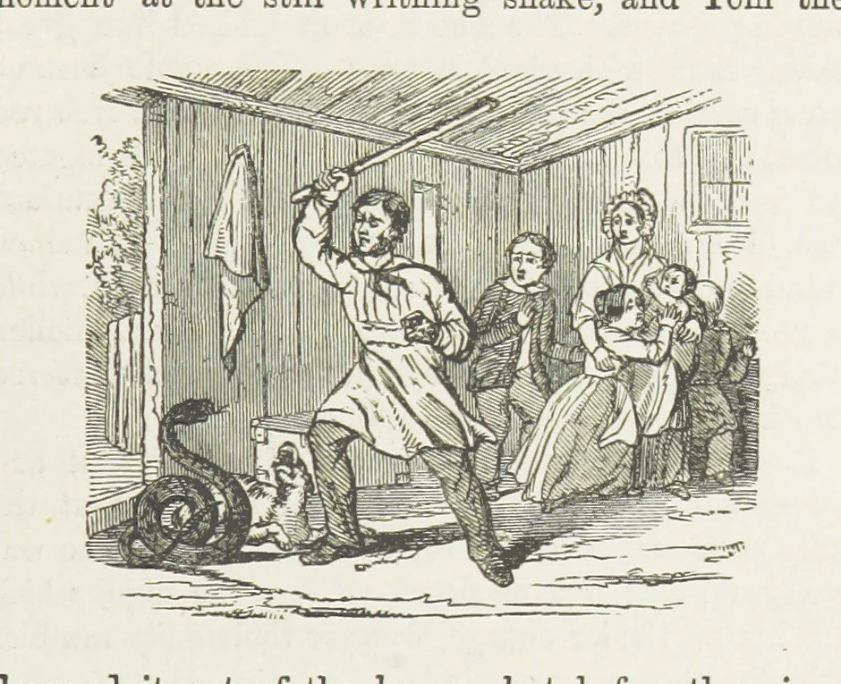 An illustration from Phil Thorndyke's Adventures: and other stories. By F. M. Wilbraham, E. M. Piper, Lady C. Thynne, and others, etc, 1894, leaf 195