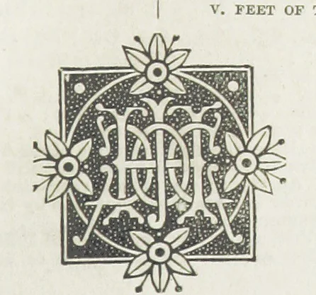 An illustration from Phil Thorndyke's Adventures: and other stories. By F. M. Wilbraham, E. M. Piper, Lady C. Thynne, and others, etc, 1894, leaf 311