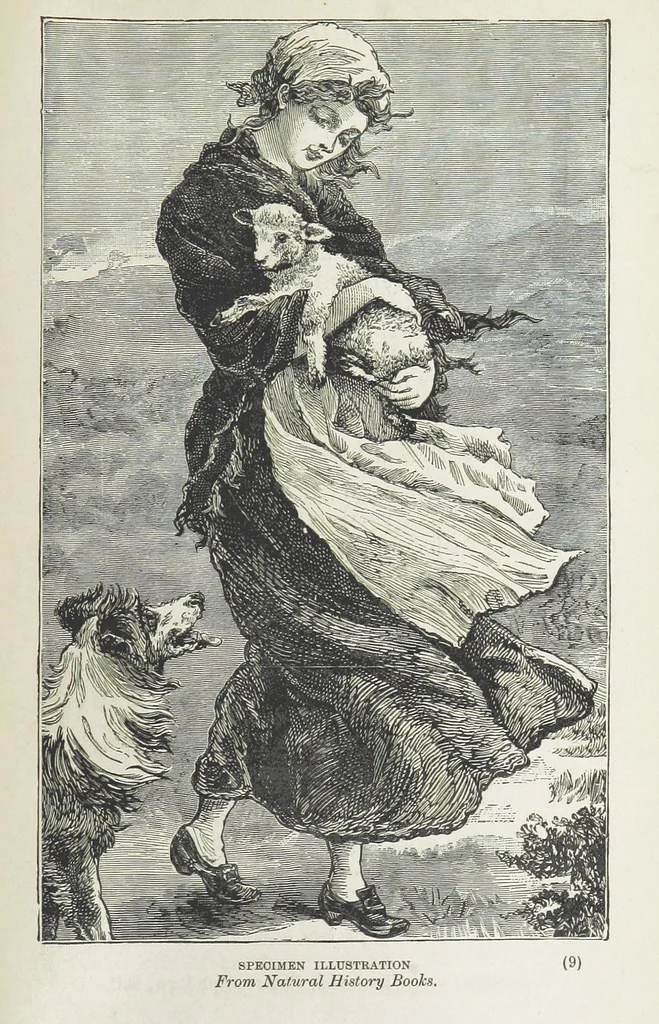 An illustration from Phil Thorndyke's Adventures: and other stories. By F. M. Wilbraham, E. M. Piper, Lady C. Thynne, and others, etc, 1894, leaf 319
