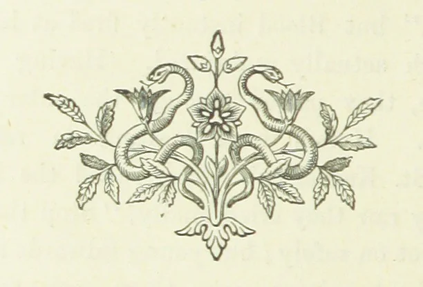 An illustration from Stories of the Tower, 1884, leaf 204