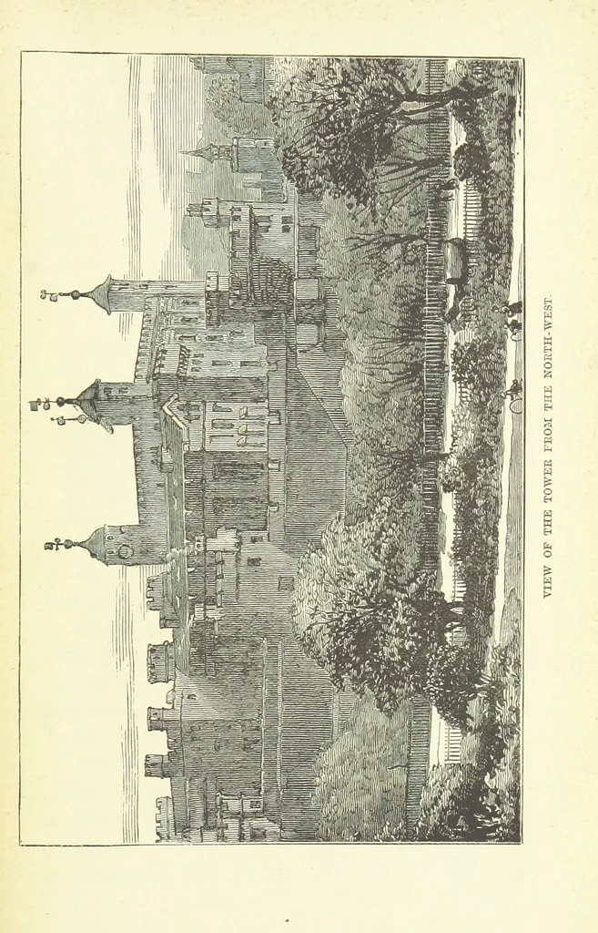 An illustration from Stories of the Tower, 1884, leaf 205