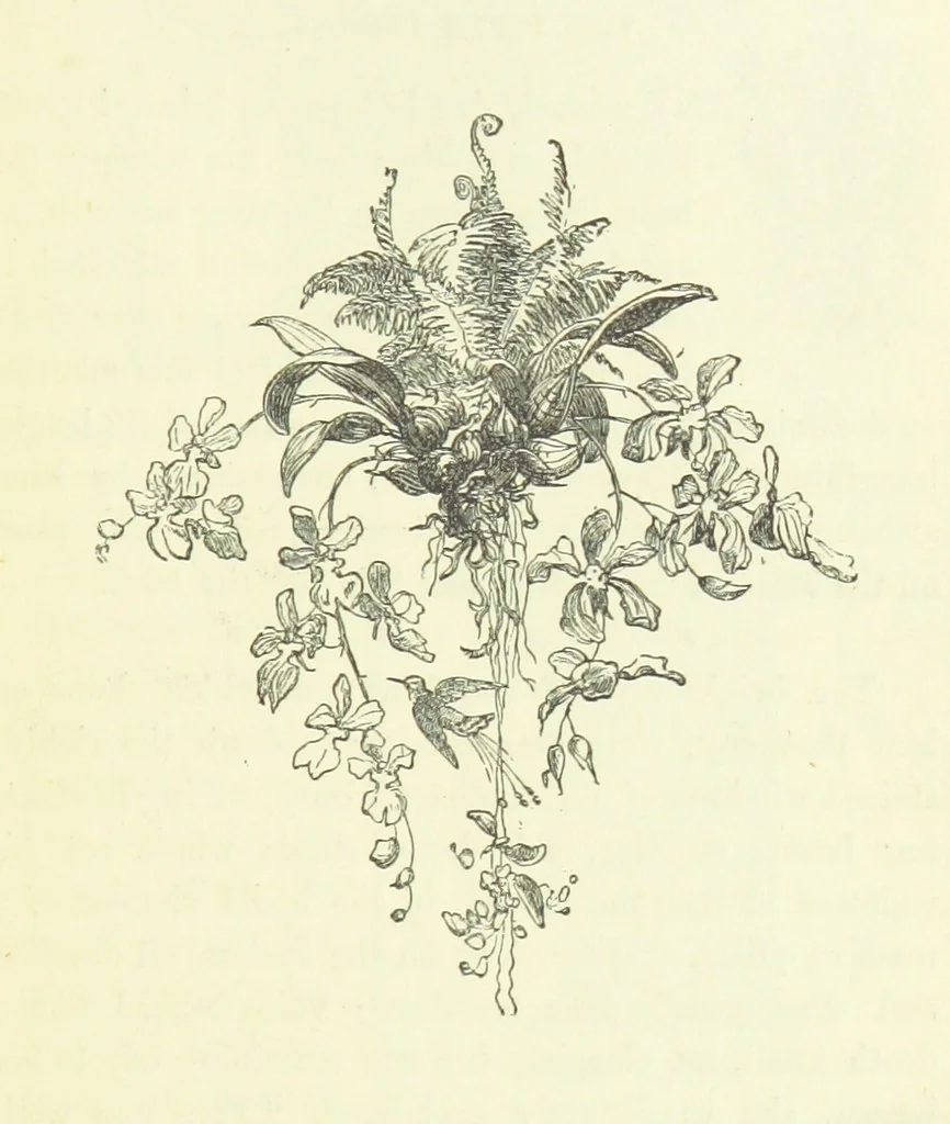 An illustration from Stories of the Tower, 1884, leaf 61