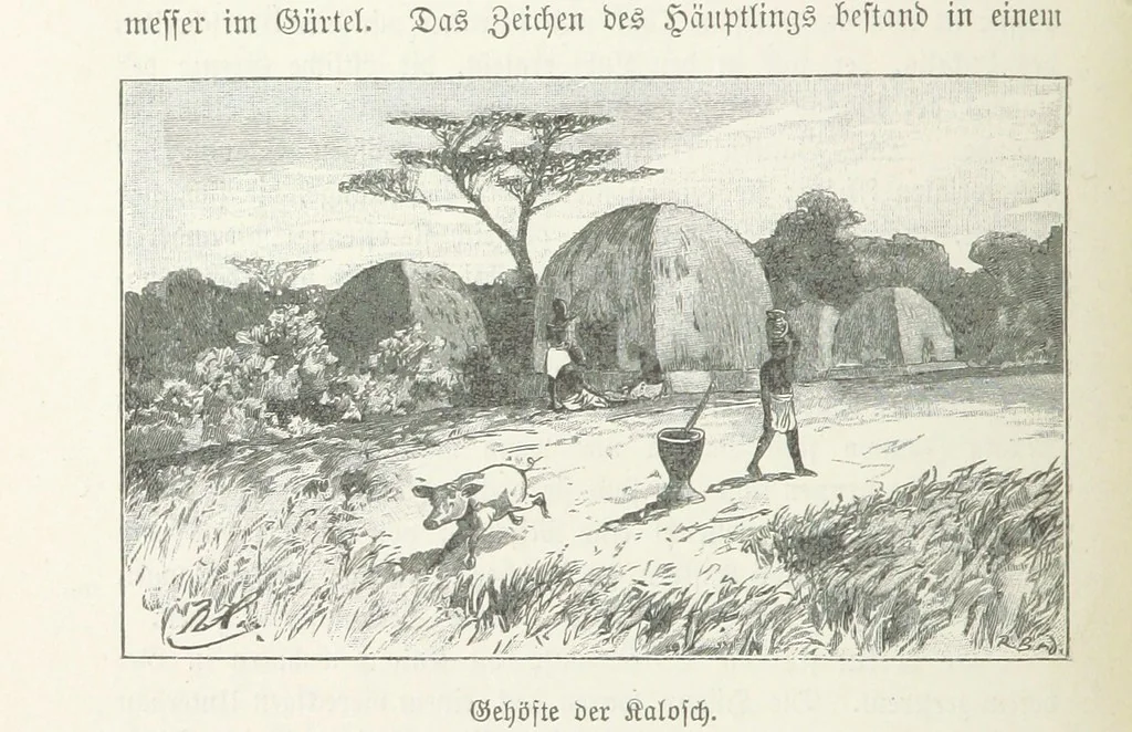 An illustration from Meine zweite Durchquerung Äquatorial-Afrikas vom Congo zum Zambesi während der Jahre 1886 und 1887 ... Mit 92 Abbildungen, etc, 1890, leaf 122