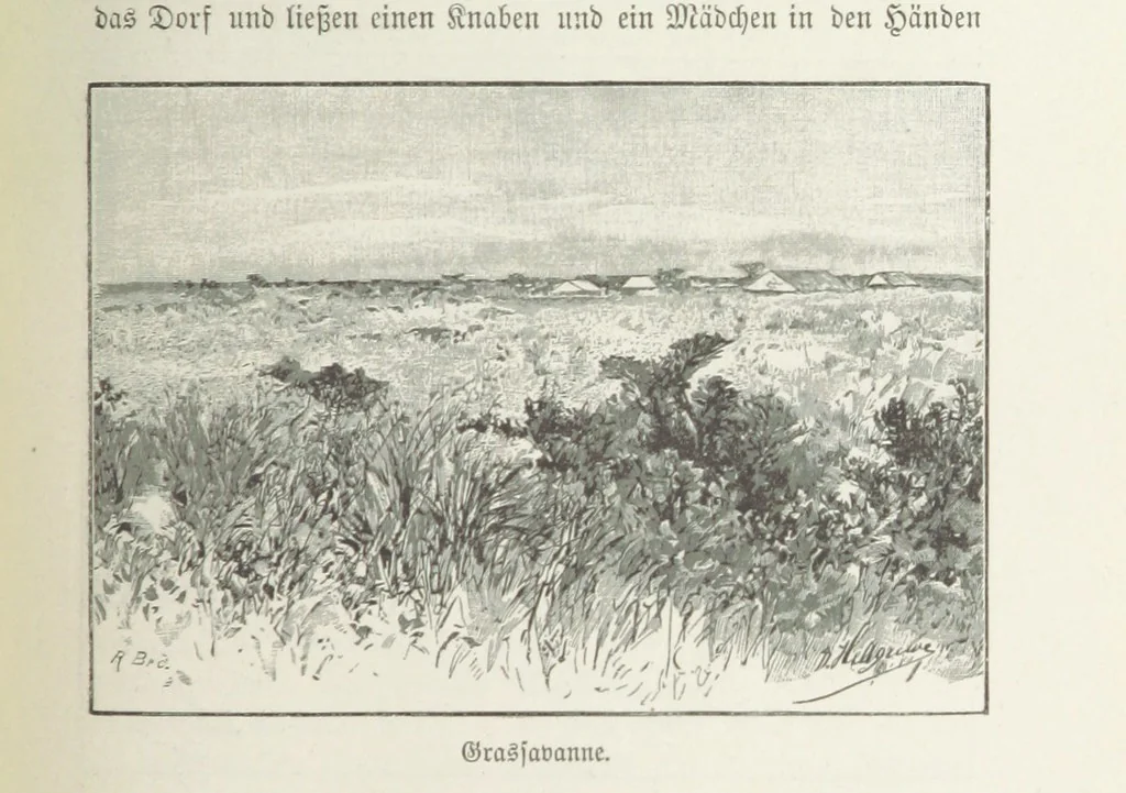 An illustration from Meine zweite Durchquerung Äquatorial-Afrikas vom Congo zum Zambesi während der Jahre 1886 und 1887 ... Mit 92 Abbildungen, etc, 1890, leaf 151