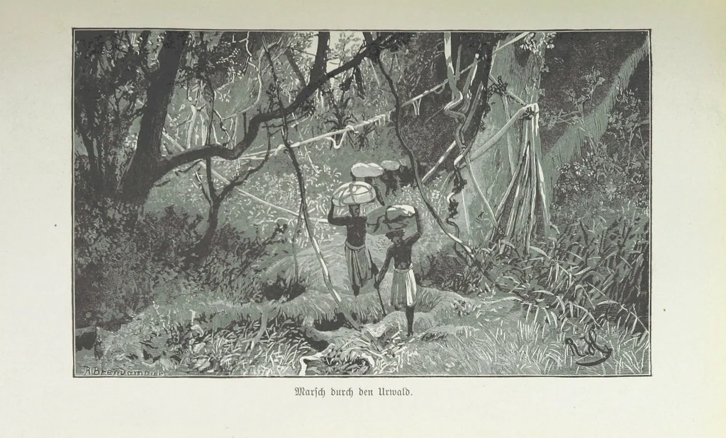 An illustration from Meine zweite Durchquerung Äquatorial-Afrikas vom Congo zum Zambesi während der Jahre 1886 und 1887 ... Mit 92 Abbildungen, etc, 1890, leaf 177