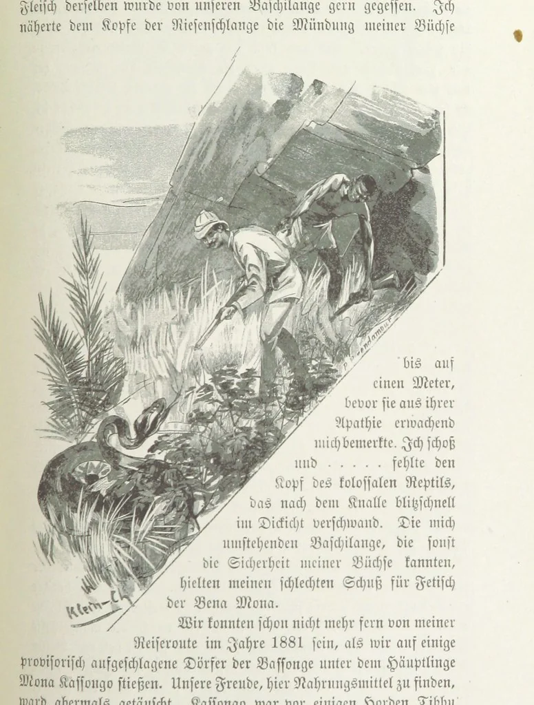 An illustration from Meine zweite Durchquerung Äquatorial-Afrikas vom Congo zum Zambesi während der Jahre 1886 und 1887 ... Mit 92 Abbildungen, etc, 1890, leaf 189