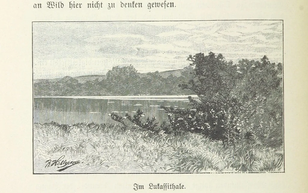 An illustration from Meine zweite Durchquerung Äquatorial-Afrikas vom Congo zum Zambesi während der Jahre 1886 und 1887 ... Mit 92 Abbildungen, etc, 1890, leaf 206