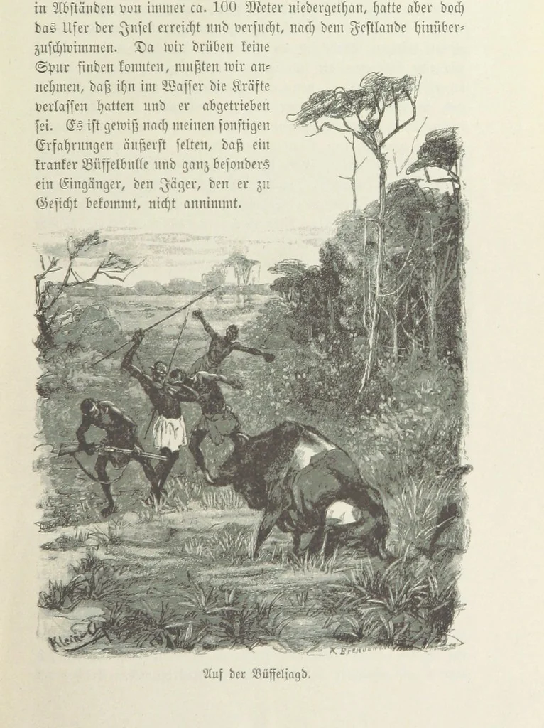 An illustration from Meine zweite Durchquerung Äquatorial-Afrikas vom Congo zum Zambesi während der Jahre 1886 und 1887 ... Mit 92 Abbildungen, etc, 1890, leaf 23