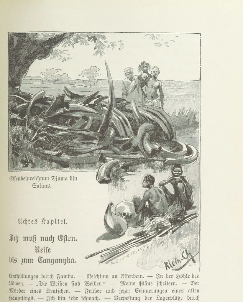 An illustration from Meine zweite Durchquerung Äquatorial-Afrikas vom Congo zum Zambesi während der Jahre 1886 und 1887 ... Mit 92 Abbildungen, etc, 1890, leaf 239