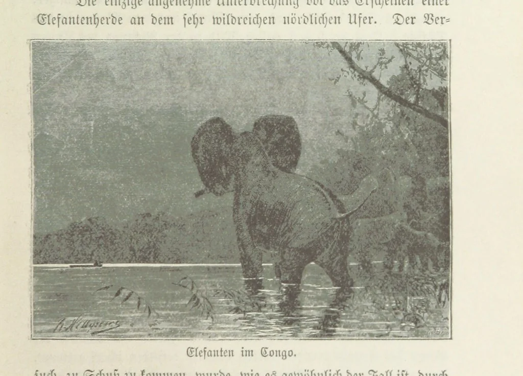 An illustration from Meine zweite Durchquerung Äquatorial-Afrikas vom Congo zum Zambesi während der Jahre 1886 und 1887 ... Mit 92 Abbildungen, etc, 1890, leaf 25