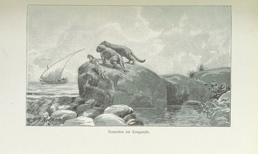An illustration from Meine zweite Durchquerung Äquatorial-Afrikas vom Congo zum Zambesi während der Jahre 1886 und 1887 ... Mit 92 Abbildungen, etc, 1890, leaf 273