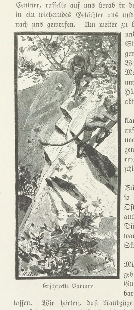 An illustration from Meine zweite Durchquerung Äquatorial-Afrikas vom Congo zum Zambesi während der Jahre 1886 und 1887 ... Mit 92 Abbildungen, etc, 1890, leaf 276