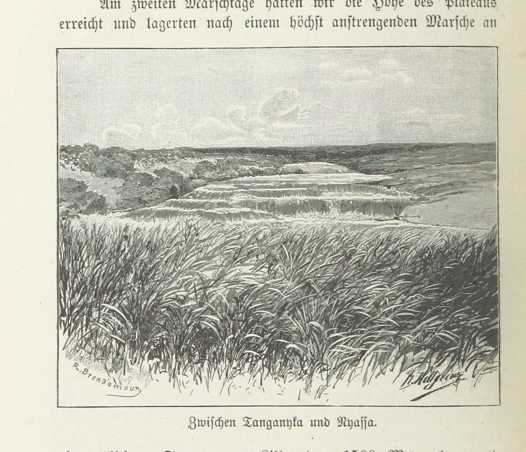 An illustration from Meine zweite Durchquerung Äquatorial-Afrikas vom Congo zum Zambesi während der Jahre 1886 und 1887 ... Mit 92 Abbildungen, etc, 1890, leaf 278