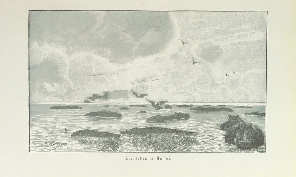 An illustration from Meine zweite Durchquerung Äquatorial-Afrikas vom Congo zum Zambesi während der Jahre 1886 und 1887 ... Mit 92 Abbildungen, etc, 1890, leaf 29