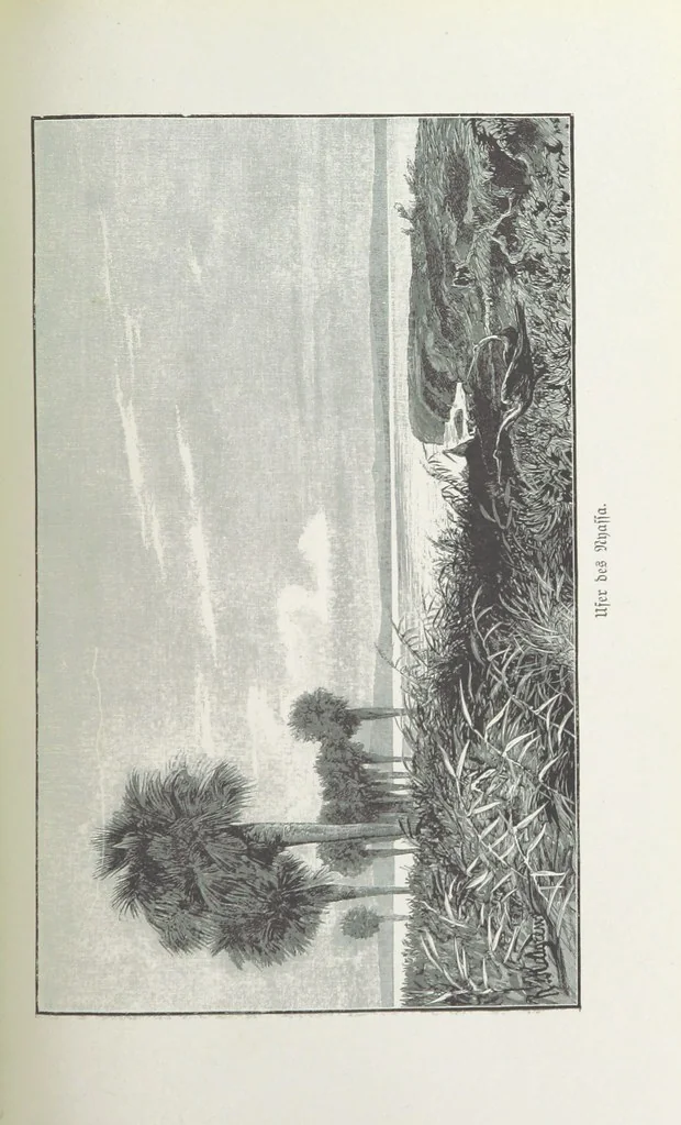 An illustration from Meine zweite Durchquerung Äquatorial-Afrikas vom Congo zum Zambesi während der Jahre 1886 und 1887 ... Mit 92 Abbildungen, etc, 1890, leaf 295