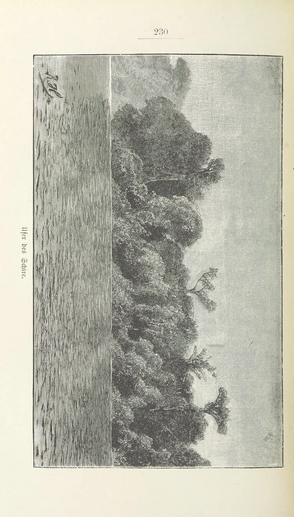 An illustration from Meine zweite Durchquerung Äquatorial-Afrikas vom Congo zum Zambesi während der Jahre 1886 und 1887 ... Mit 92 Abbildungen, etc, 1890, leaf 304
