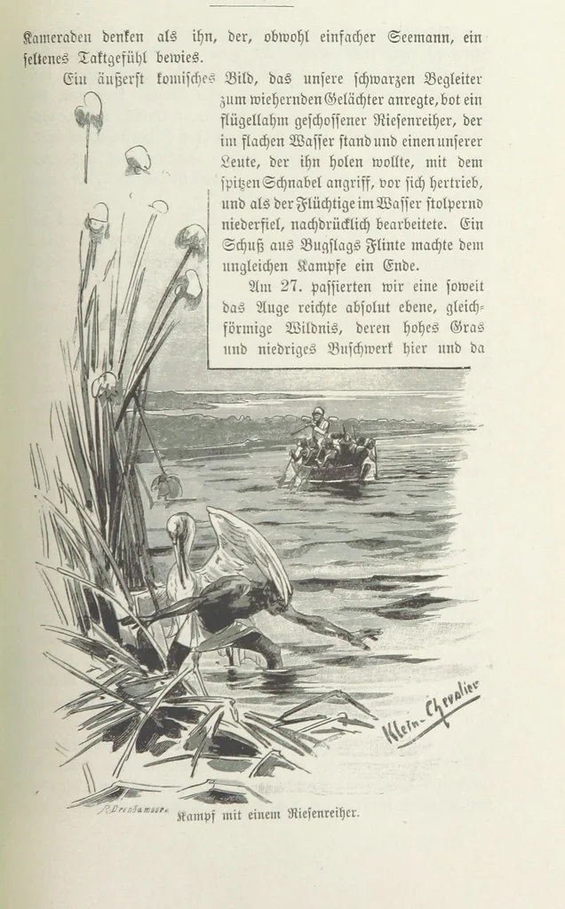 An illustration from Meine zweite Durchquerung Äquatorial-Afrikas vom Congo zum Zambesi während der Jahre 1886 und 1887 ... Mit 92 Abbildungen, etc, 1890, leaf 305