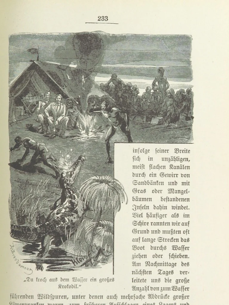 An illustration from Meine zweite Durchquerung Äquatorial-Afrikas vom Congo zum Zambesi während der Jahre 1886 und 1887 ... Mit 92 Abbildungen, etc, 1890, leaf 307