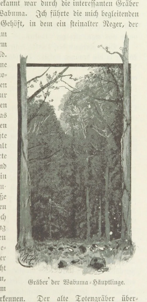 An illustration from Meine zweite Durchquerung Äquatorial-Afrikas vom Congo zum Zambesi während der Jahre 1886 und 1887 ... Mit 92 Abbildungen, etc, 1890, leaf 31
