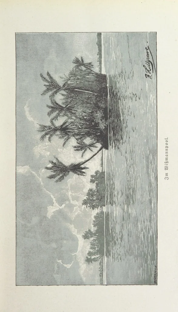 An illustration from Meine zweite Durchquerung Äquatorial-Afrikas vom Congo zum Zambesi während der Jahre 1886 und 1887 ... Mit 92 Abbildungen, etc, 1890, leaf 39