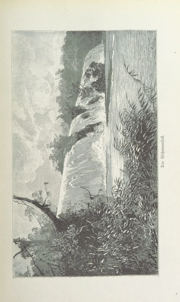 An illustration from Meine zweite Durchquerung Äquatorial-Afrikas vom Congo zum Zambesi während der Jahre 1886 und 1887 ... Mit 92 Abbildungen, etc, 1890, leaf 95