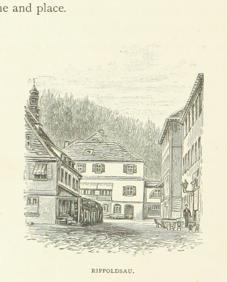 An illustration from In the Black Forest, 1882, leaf 144