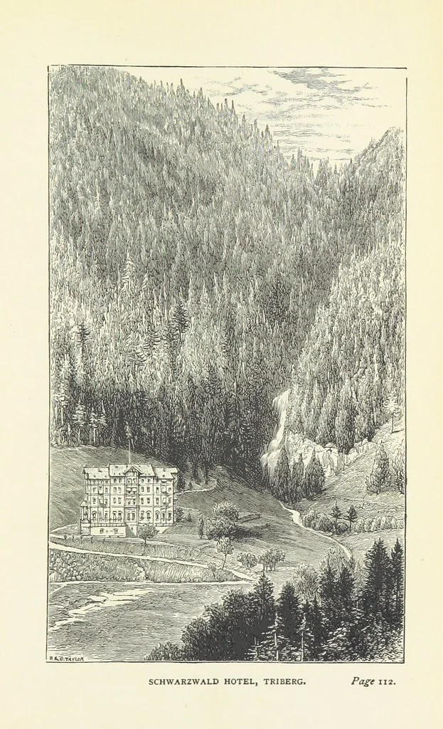 An illustration from In the Black Forest, 1882, leaf 147