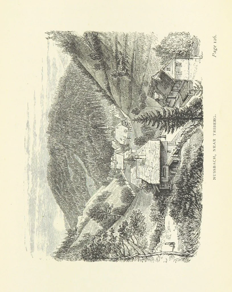 An illustration from In the Black Forest, 1882, leaf 165
