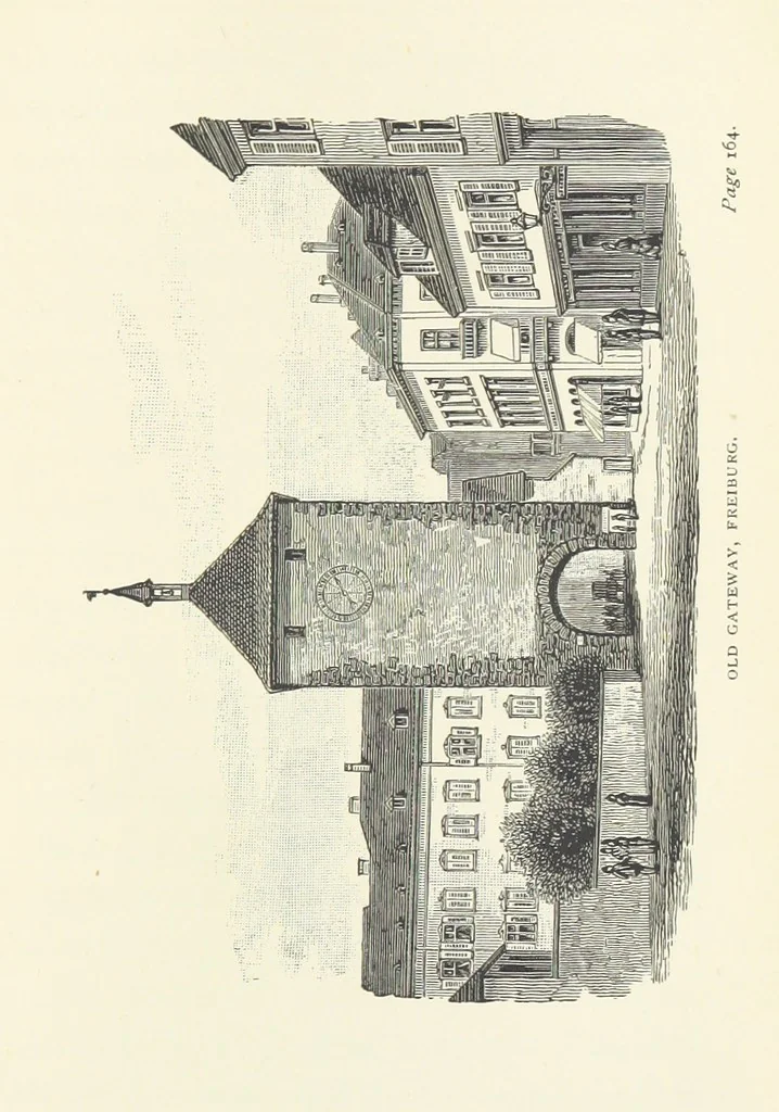 An illustration from In the Black Forest, 1882, leaf 213