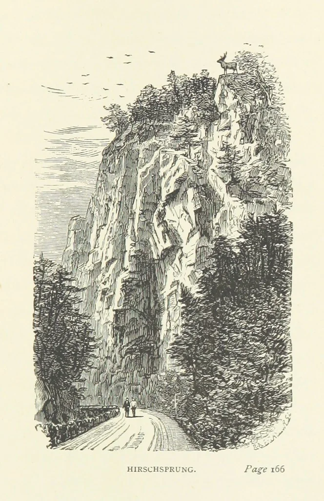 An illustration from In the Black Forest, 1882, leaf 217