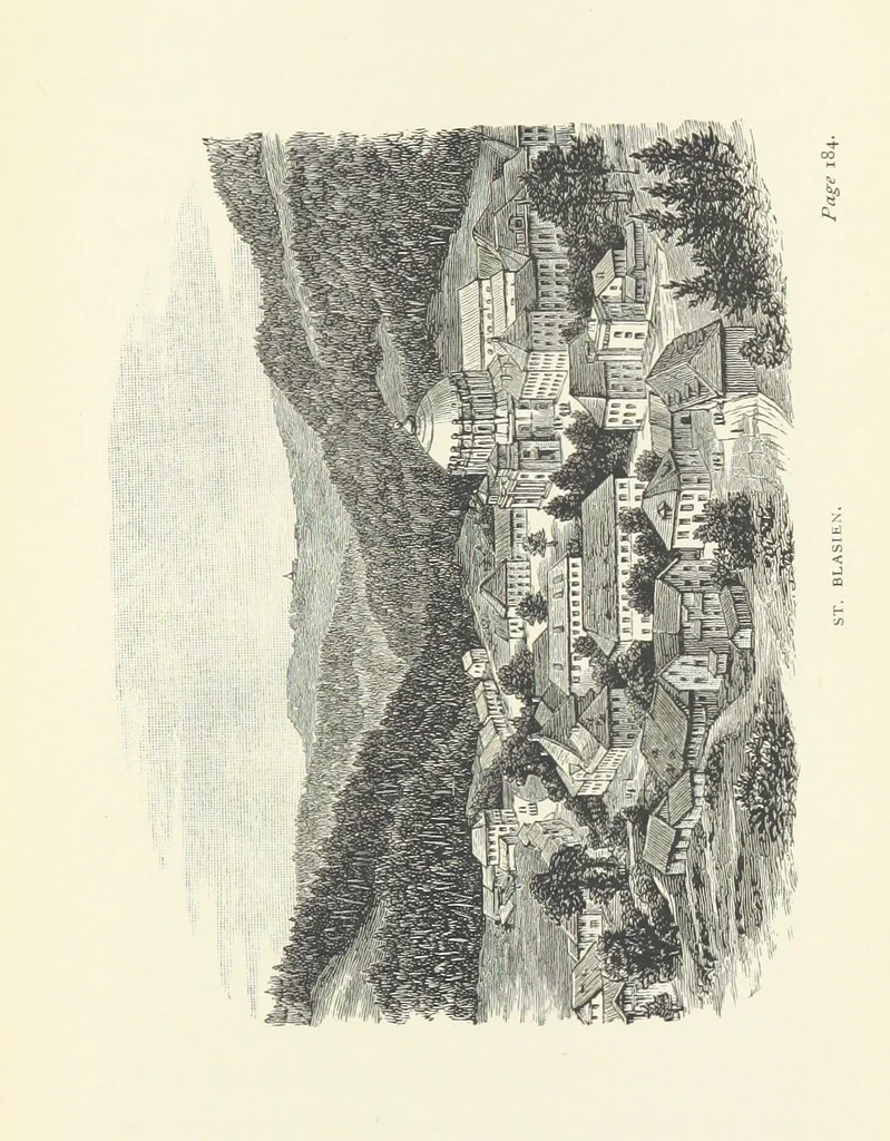 An illustration from In the Black Forest, 1882, leaf 245
