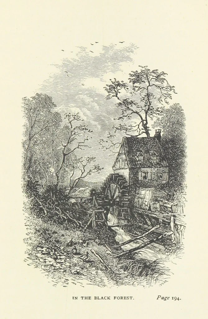 An illustration from In the Black Forest, 1882, leaf 257