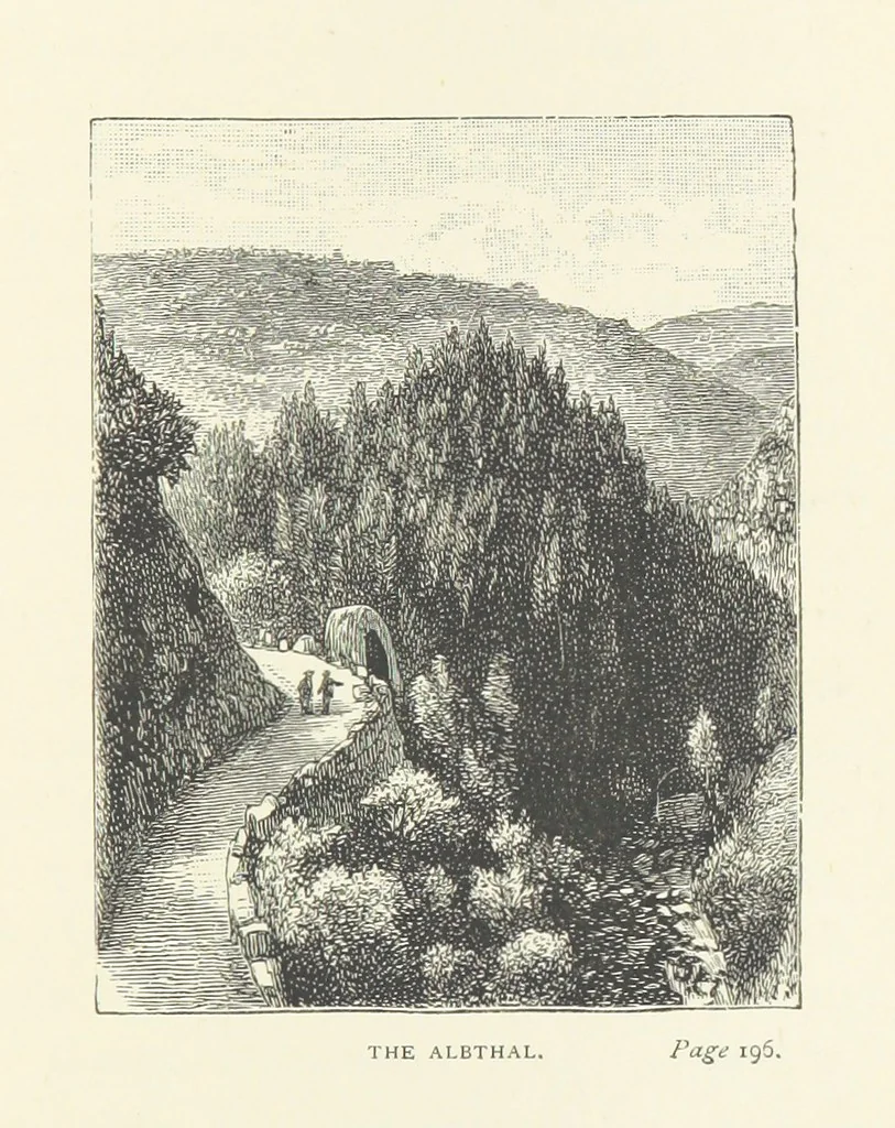 An illustration from In the Black Forest, 1882, leaf 261