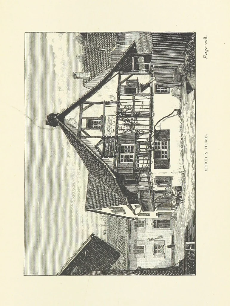 An illustration from In the Black Forest, 1882, leaf 299