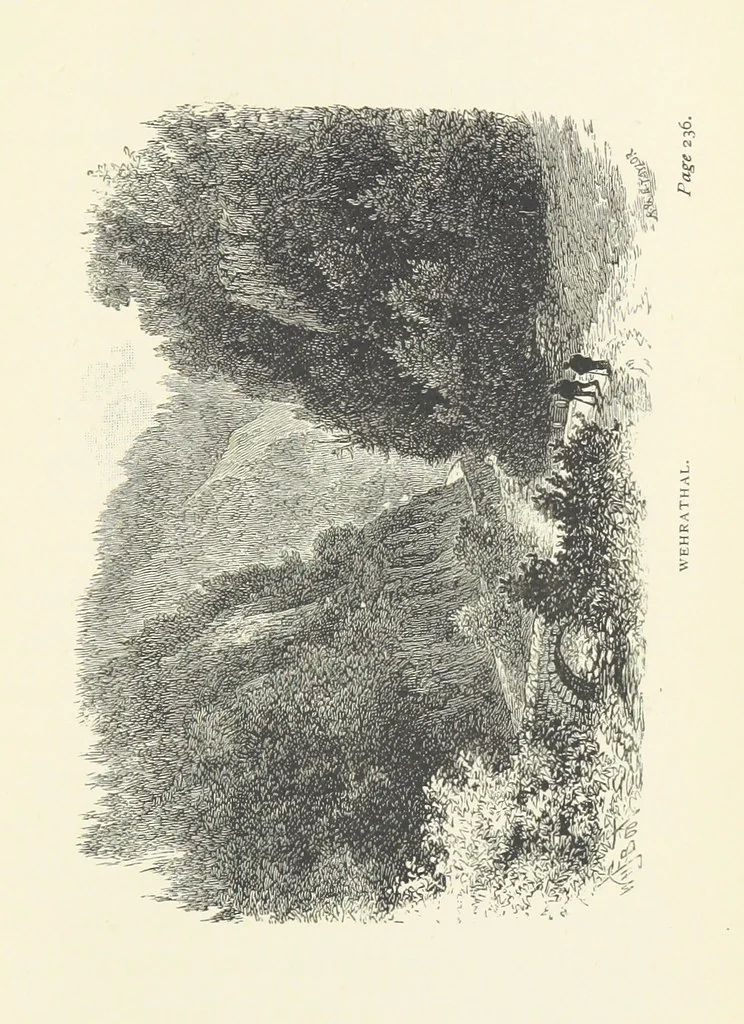 An illustration from In the Black Forest, 1882, leaf 311