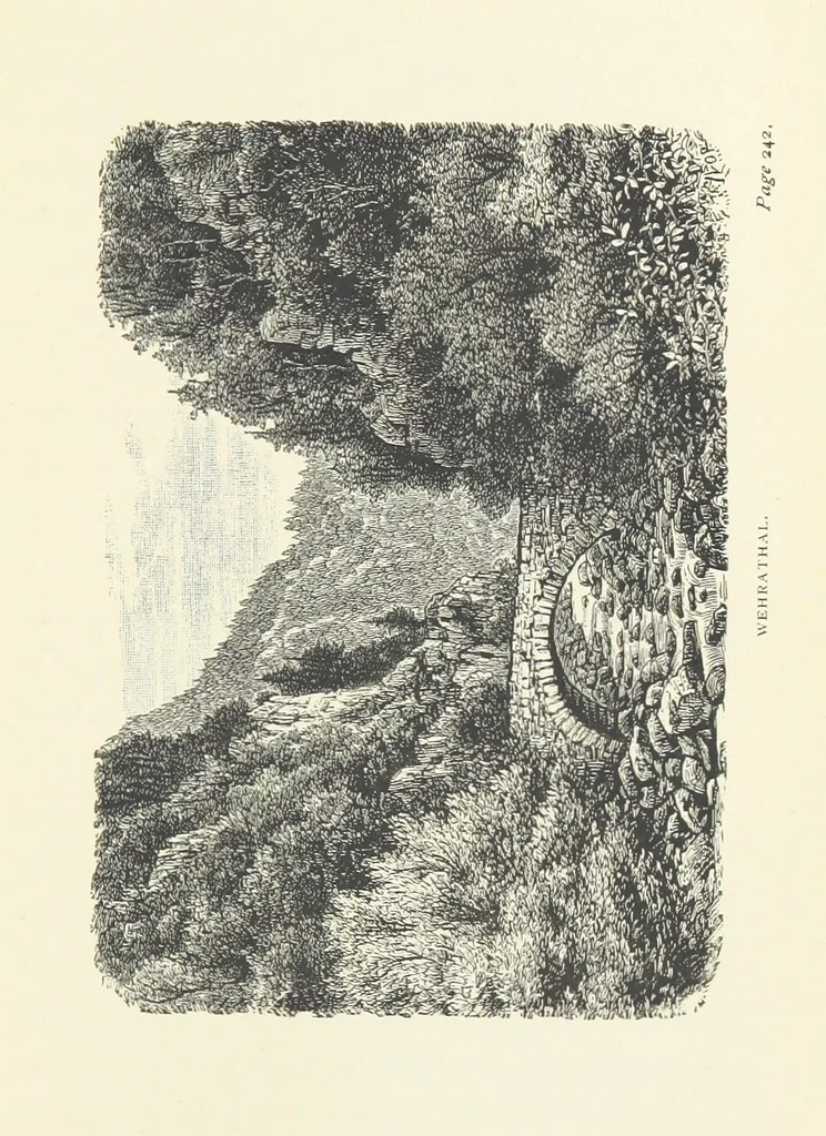 An illustration from In the Black Forest, 1882, leaf 319